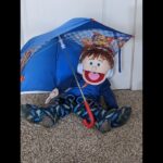 Learning About Storms- Social Emotional Puppet Show